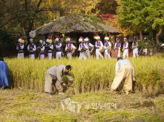 “한국민속촌 가을 농경의 현장” 전통 추수체험